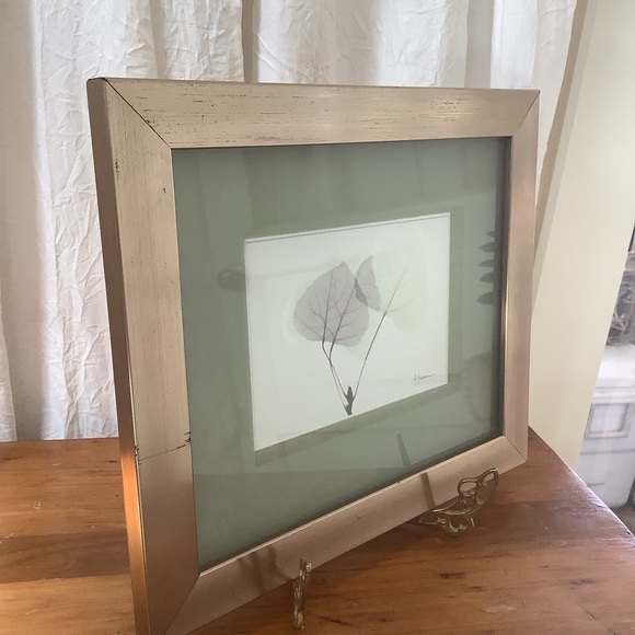 Albert Koetsier Signed Art Print Aspen Leaves Brushed Nickel Frame - Picture 3 of 12